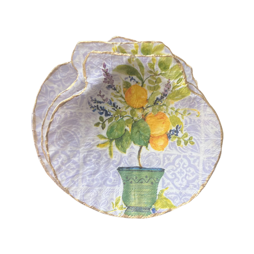 Lemon Tree Shell