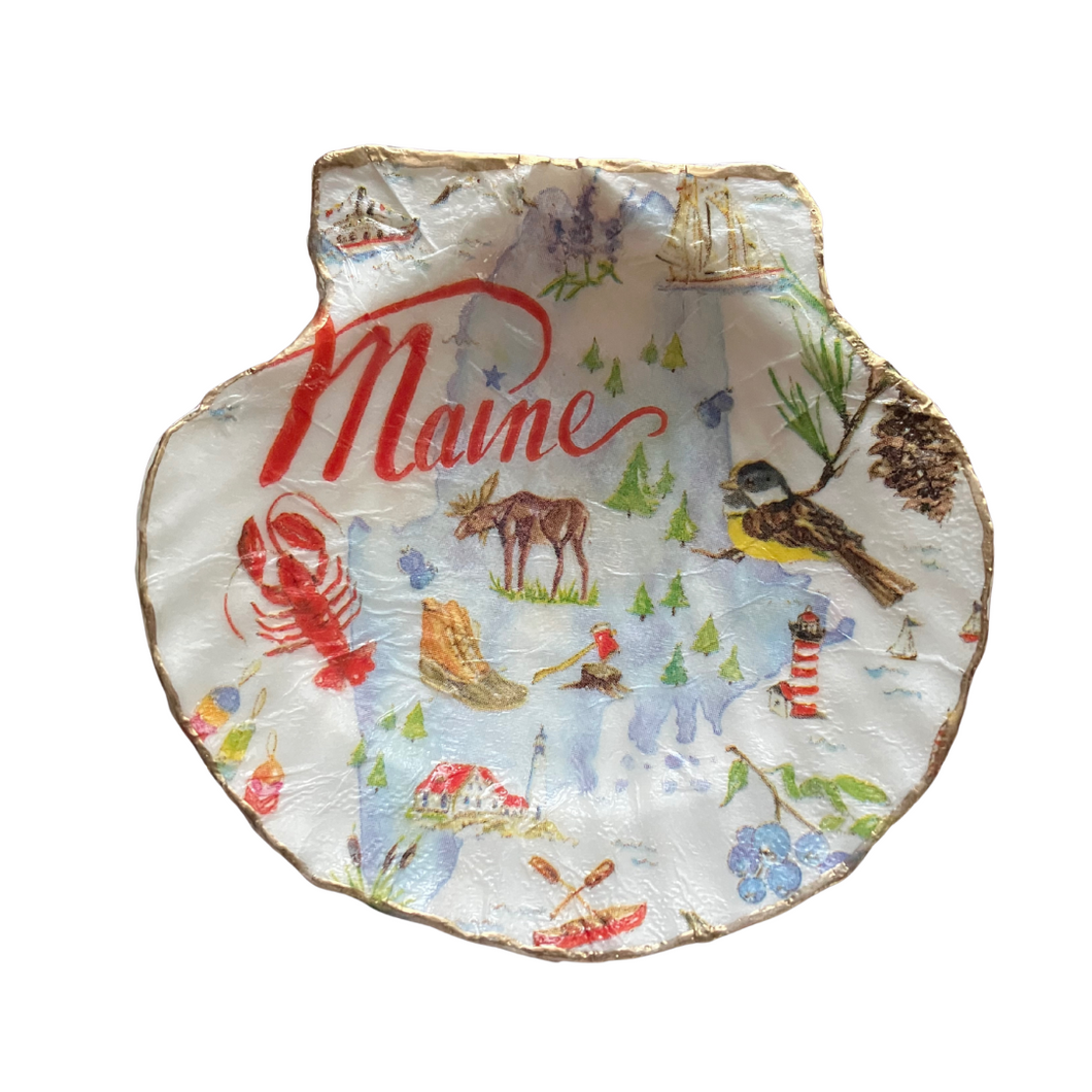 Maine Shell